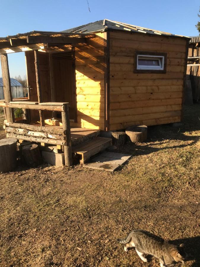 ホテル Sillaotsa Camp パイデ エクステリア 写真